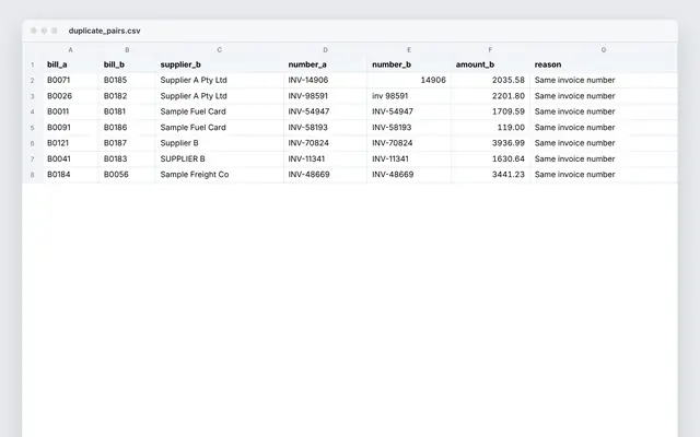 Python: duplicate supplier bill check: crop of the real file